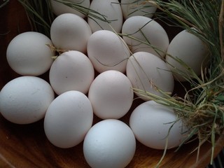 bowl or white organic chicken eggs