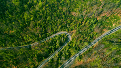 Serce las pole rzepak © Daniel