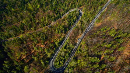 Serce las pole rzepak © Daniel