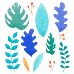 Set of concept botanical graphic elements isolated