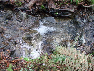 Fototapeta premium Natural picture of small waterfalls of the mountain river, which is a fast stream cutting mountain rocks at an altitude of 1400 m.