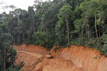 Deforestation. Logging of rainforest in Malaysia 