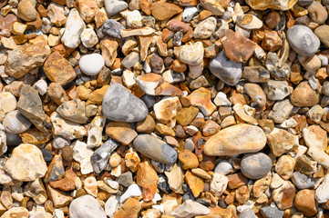 Shiny pebbles on a stoney beach