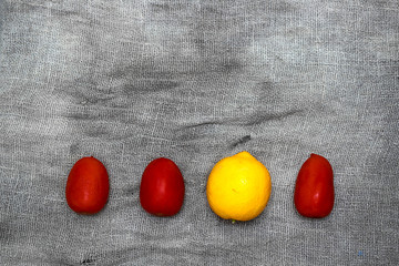 Vegetables on a gray background from flax.