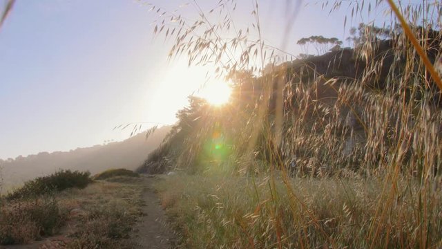 mountain trial during the dawn with a view of the spikelets through which the sun's rays shining