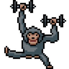 vector pixel art monkey mischievous