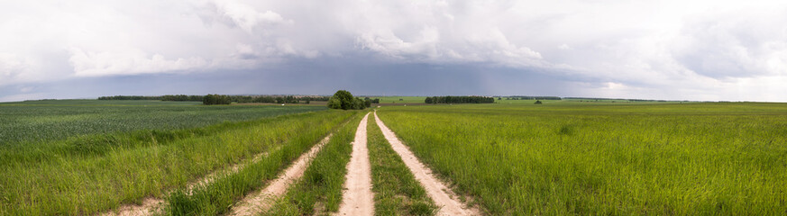 Fototapeta na wymiar Road in the field, stormy sky