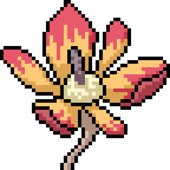 vector pixel art flower abstract
