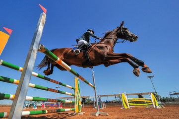 The bottom view on the rider on horse jumping over a hurdle during the equestrian event