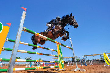 The bottom view of the rider on horse jumping over a hurdle during the equestrian event
