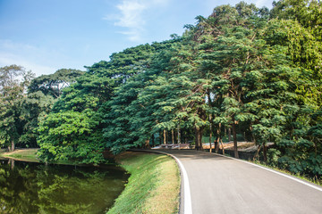 Plakat Beautiful view of asphalt road between gorgeous trees and lake, in sunny day. With copy space.