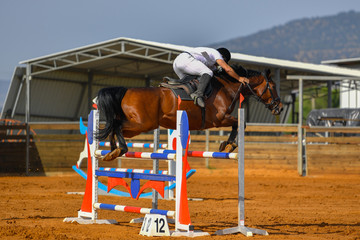Young rider jumping over the obstacles during the horse jumping competition