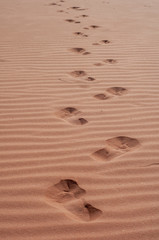 traces in the sand