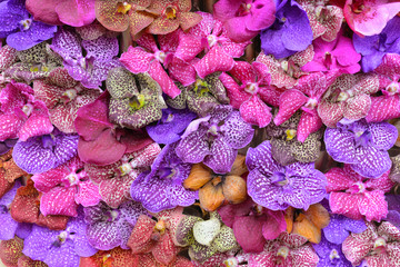 Flowers composition. Floral background made of flowers. Flat lay, top view, wallpaper