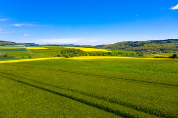Obraz premium Aerial view, agriculture with cereal fields and rapeseed cultivation, Usingen, Schwalbach, Hochtaunuskreis, Hesse, Germany