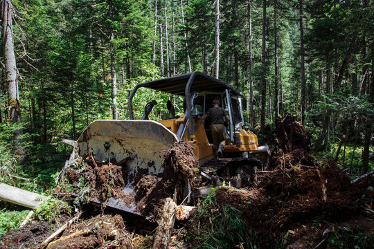 Construction of a road. Bulldozer at work. Destruction a forest. Broken and fallen trees. with a blue sky on the background. 