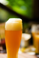 beer
