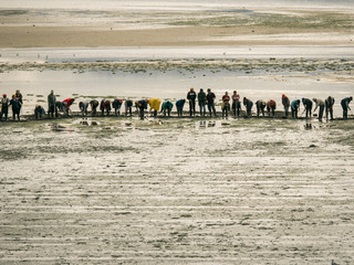Obraz premium Row of women ready to start working as shellfish catchers on a spanish beach