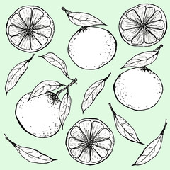 citrus mandarin pattern graphics color