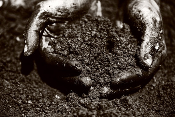 Gardener hands preparing soil for seedling in ground