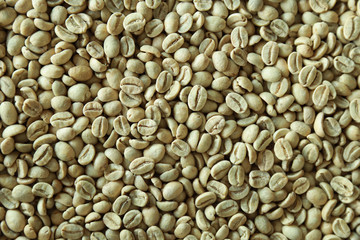 raw green fresh coffee bean, nature