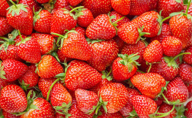 Fresh organic Strawberry fruit background Top view closeup