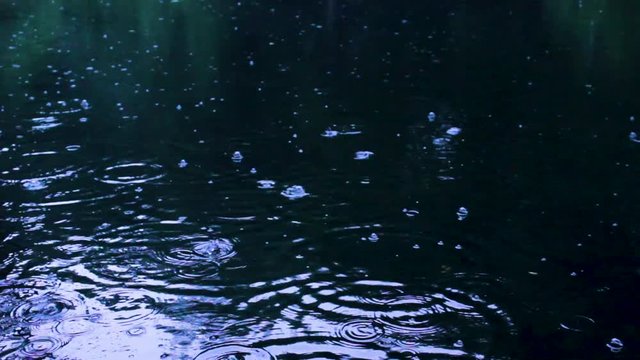 Forest Lake in Rain