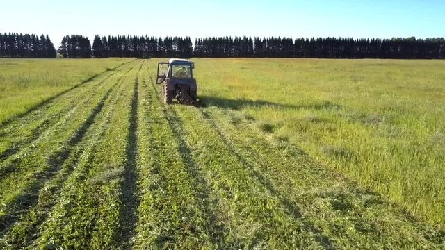 flycam follows old tractor with blade mowing green grass shining under bright sun rays against forest on field side