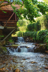 Cascade stream in Masukiye natural park at spring