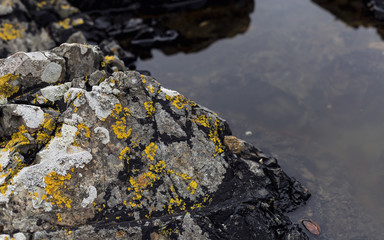 Steinsstruktur neben Wasser, Europa