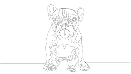 Linear illustration of cute bulldog single line