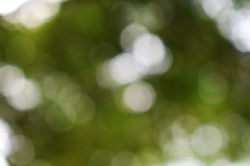 Obraz premium abstract background with bokeh