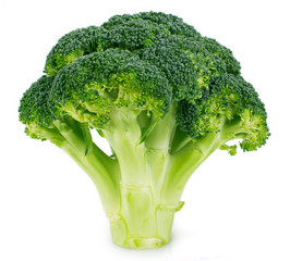 Fresh broccoli on white background