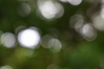 background with bokeh