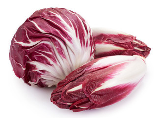 Red chicory on white background