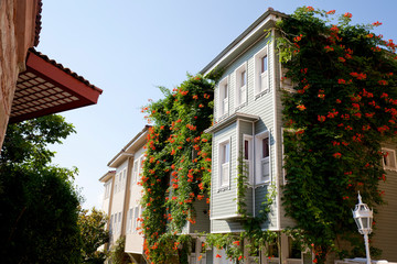 Fototapeta na wymiar Historical Turkish houses in istanbul