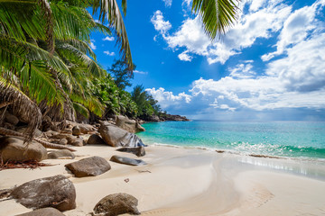 Perfect untouched tropical beach Seychelles - obrazy, fototapety, plakaty