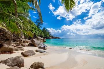 Foto op Plexiglas Perfect untouched tropical beach Seychelles © beachfront