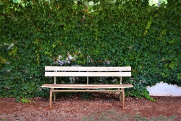 Old white bench in garden