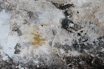 old cement wall texture for a background