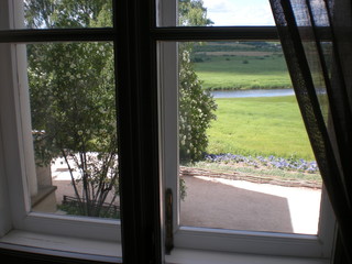 Вид из окна Луг Река