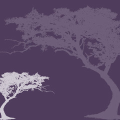 abstract background
