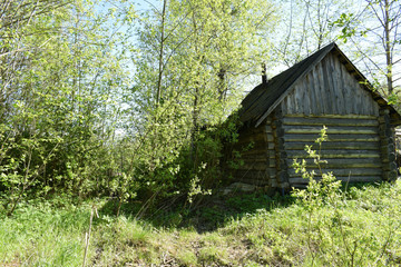 old wooden house in the forest