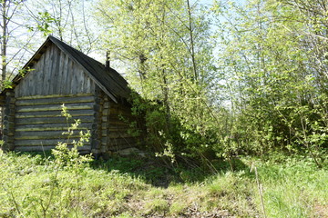 old wooden house in the forest