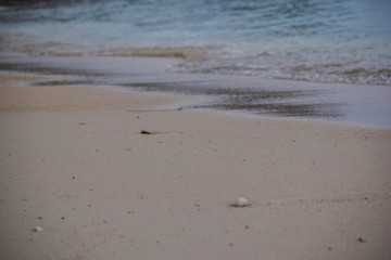beach blurred abstract background shoreline close up stylized - selective focus on sand