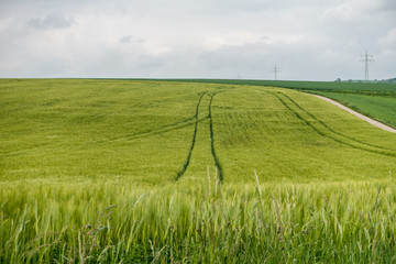 Getreideanbau im Frühjahr