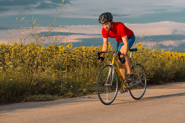 A cyclist in red blue form rides on a road bike along fields of sunflowers.