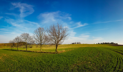 scenic panorama view of natural landscape under a cloudy sky