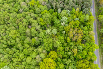 Aerial view of long road cutting through forest