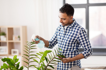 people, housework and care concept - indian man spraying houseplant by water sprayer at home